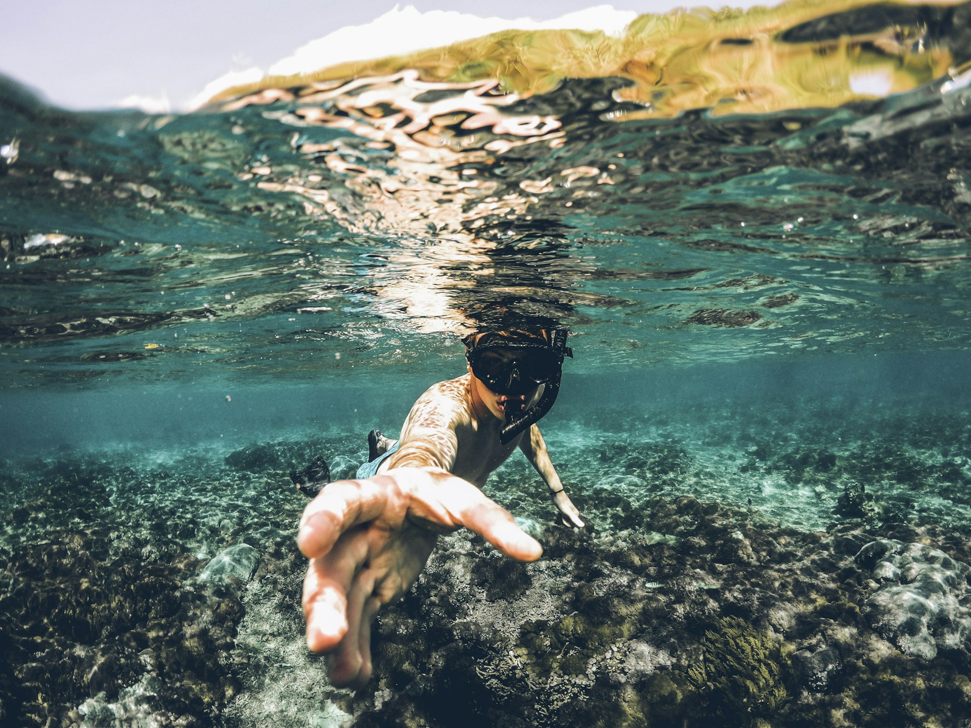 Crystal clear waters: A world of wonders to enjoy