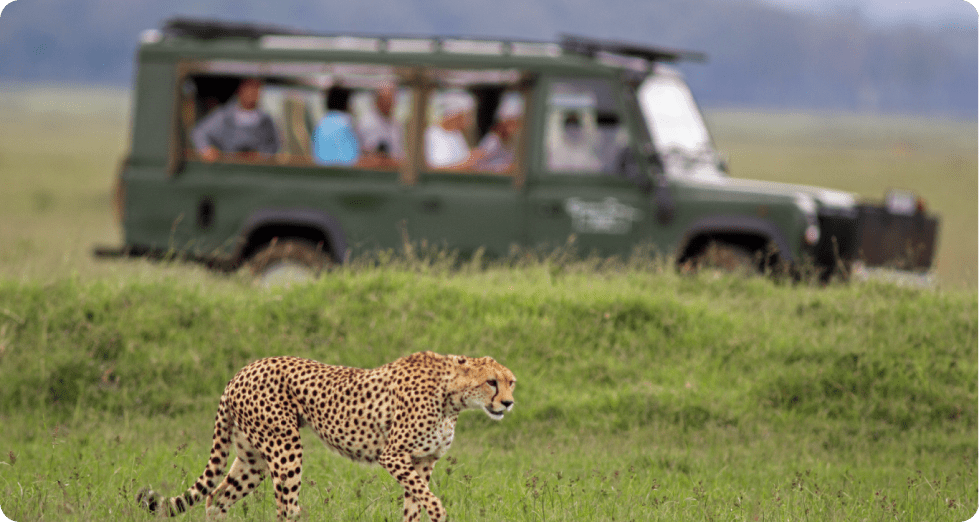 group and family travel